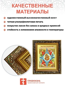 Икона Божией Матери "Неопалимая Купина" с золочением поталью, 03045-УЛ