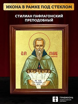 Икона Стилиан Пафлагонский преподобный с золочением, деревянная рамка со стеклом 15х18х2 см 1102