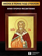 Икона Илия Фесвитянин пророк с золочением, деревянная рамка со стеклом 15х18х2 см 077