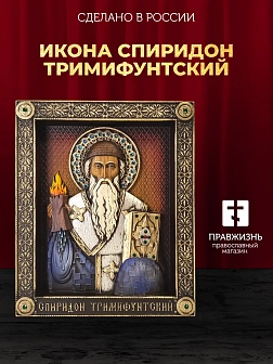 Икона Святитель Спиридон Тримифунтский