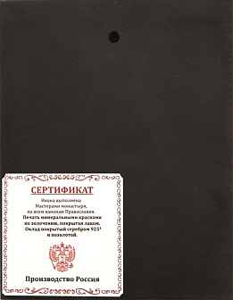 Икона СПИРИДОН Тримифунтский, Святитель (СЕРЕБРО, ЗОЛОЧЕНИЕ)