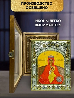 Икона Державная Божия Матерь в ризе и деревянном киоте, 26х22 см