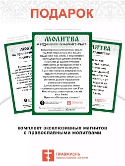Икона 221 Ангел Хранитель гальваника