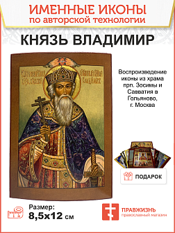Икона князь Владимир
