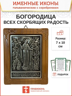 Икона 153 Всех скорбящих Радость Божия Матерь гальваника