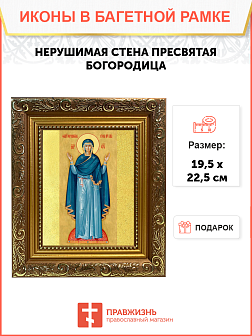 Образ Божией Матери "Нерушимая Стена", 11Н1