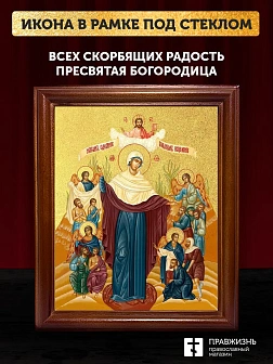 Икона Божией Матери Всех скорбящих Радость с золочением, деревянная рамка со стеклом 15х18х2 см 153