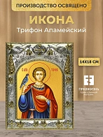 Икона Трифон Апамейский в ризе, 18х14 см