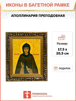 Икона Аполлинария преподобная, узкая рамка 17,5х20,5х2 см 031