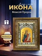 Икона Моисей Пророк в ризе и деревянном киоте, 26х22 см