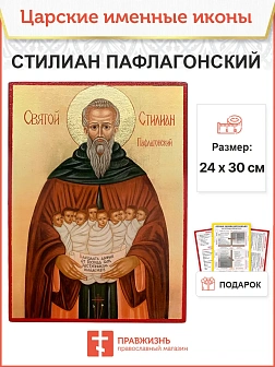 Икона Стилиан Пафлагонский 22х30 (1102)