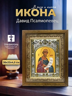 Икона Давид Псалмопевец в ризе и деревянном киоте, 26х22 см