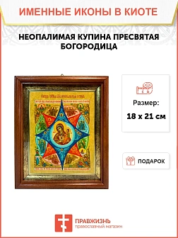 Икона Божией Матери Неопалимая Купина в киоте 18х21х4 см 181