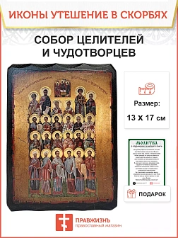 Икона СОБОР Святых Целителей (МЕШКОВИНА)