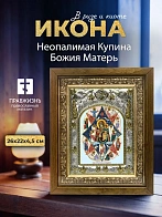 Икона Неопалимая Купина Божия Матерь в ризе и деревянном киоте, 26х22 см