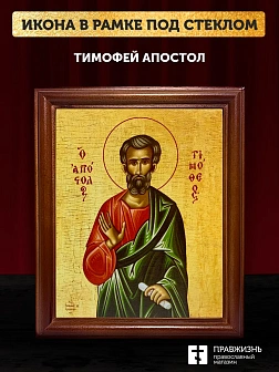 Икона Тимофей апостол, деревянная рамка со стеклом 15х18х2 см 138 Икона Тимофей апостол, деревянная рамка со стеклом 15х18х2 см 138