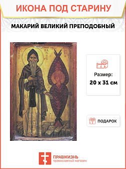 Икона МАКАРИЙ Египетский Великий, Преподобный (ПОД СТАРИНУ)