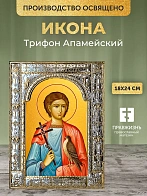 Икона Трифон Апамейский в ризе, 18x24 см