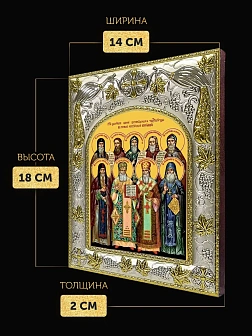 Икона Собор Русских Целителей в ризе, 18х14 см