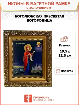 Икона Боголюбская Божия Матерь золочение поталь