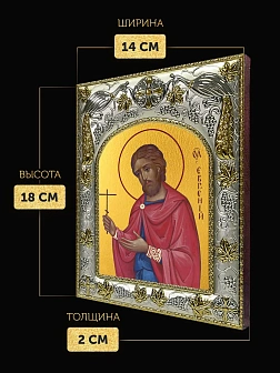 Икона Евгений Севастийский в ризе, 18х14 см