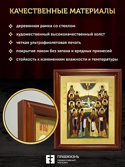 Икона Собор Оптинских Старцев с золочением, деревянная рамка со стеклом 15х18х2 см 1123 Икона Собор Оптинских Старцев с золочением, деревянная рамка со стеклом 15х18х2 см 1123