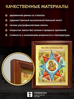 Икона Божией Матери Неопалимая Купина  с золочением, деревянная рамка со стеклом 15х18х2 см 181