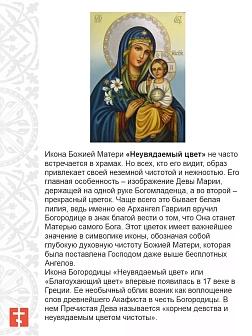 Икона 165 Неувядаемый Цвет Божия Матерь золочение поталь киот 21 см