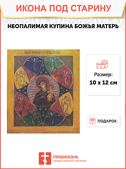 Икона Божьей Матери Неопалимая Купина