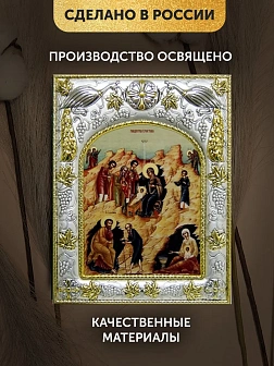 Икона Рождество Христово в ризе, 18х14 см