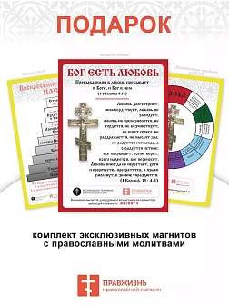 Икона 165 Неувядаемый Цвет Божия Матерь золочение поталь киот 21 см