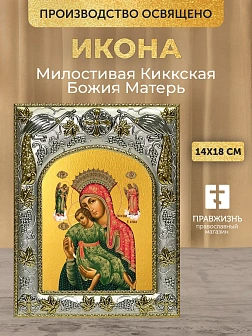 Икона Милостивая Киккская Божия Матерь в ризе, 18х14 см