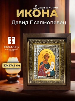 Икона Давид Псалмопевец в ризе и киоте под дерево, 33х27 см