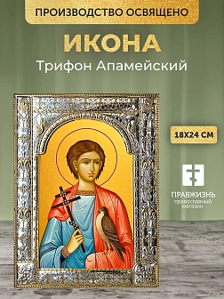 Икона Трифон Апамейский в ризе, 18x24 см