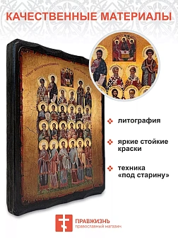 Икона СОБОР Святых Целителей (МЕШКОВИНА)