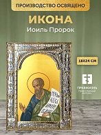 Икона Иоиль Пророк в ризе, 18x24 см