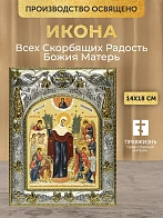 Икона Всех Скорбящих Радость Божия Матерь в ризе, 18х14 см