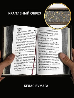 Подарочный набор книг в кожаном переплете: Евангелие 09.35 и Молитвослов малый 06.05 цвет бордовый