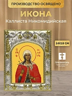 Икона Каллиста Никомидийская в ризе, 18х14 см