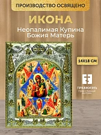 Икона Неопалимая Купина Божия Матерь в ризе, 18х14 см