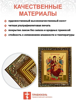 Икона Божией Матери Всецарица, узкая рамка 17,5х20,5х2 см 054