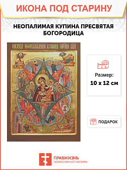 Икона Неопалимая Купина