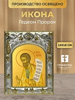 Икона Гедеон Пророк в ризе, 18х14 см