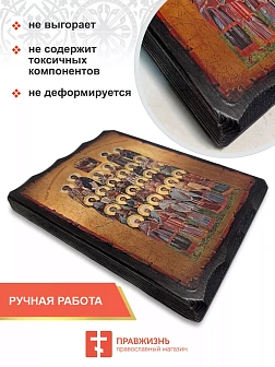 Икона СОБОР Святых Целителей (МЕШКОВИНА)