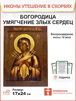 Икона Пресвятая Богородица Умягчение злых сердец 17х24 см