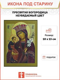 Икона Икона Господь Вседержитель (ПОД СТАРИНУ)