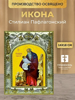 Икона Стилиан Пафлагонский в ризе, 18х14 см