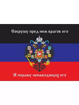 Флаг 074 Новороссия ДНР_Сокрушу пред ним врагов его, 90х135 см, материал сетка для улицы
