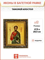 Икона Тимофей апостол, узкая рамка 17,5х20,5х2 см 138