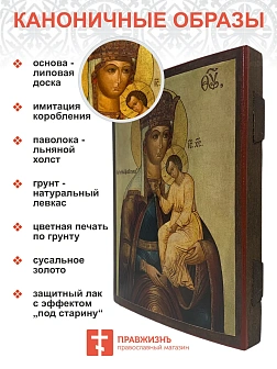 Икона Пресвятая Богородица Избавление от бед страждущих 13х18 см